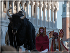 foto Carnevale di Venezia